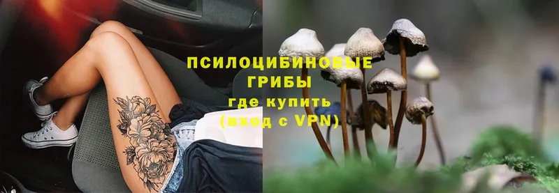 Псилоцибиновые грибы Magic Shrooms Ковдор