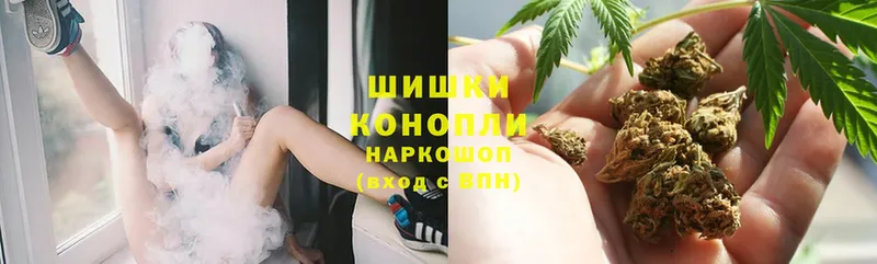 Бошки Шишки SATIVA & INDICA  площадка наркотические препараты  Ковдор  наркотики 